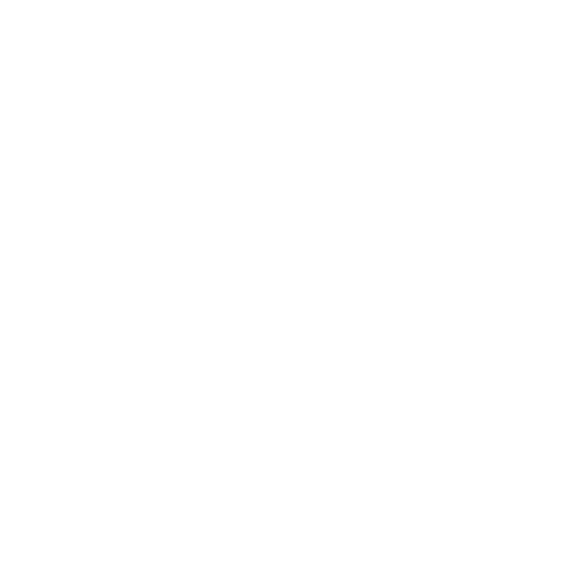Tiktok Icon